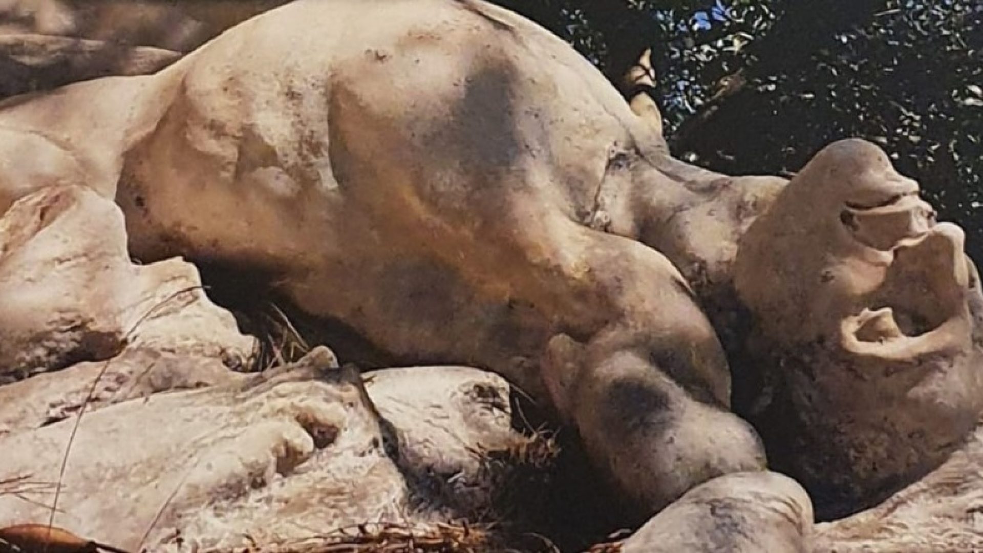 Il monumento del Gran Camposanto dedicato ai finanzieri