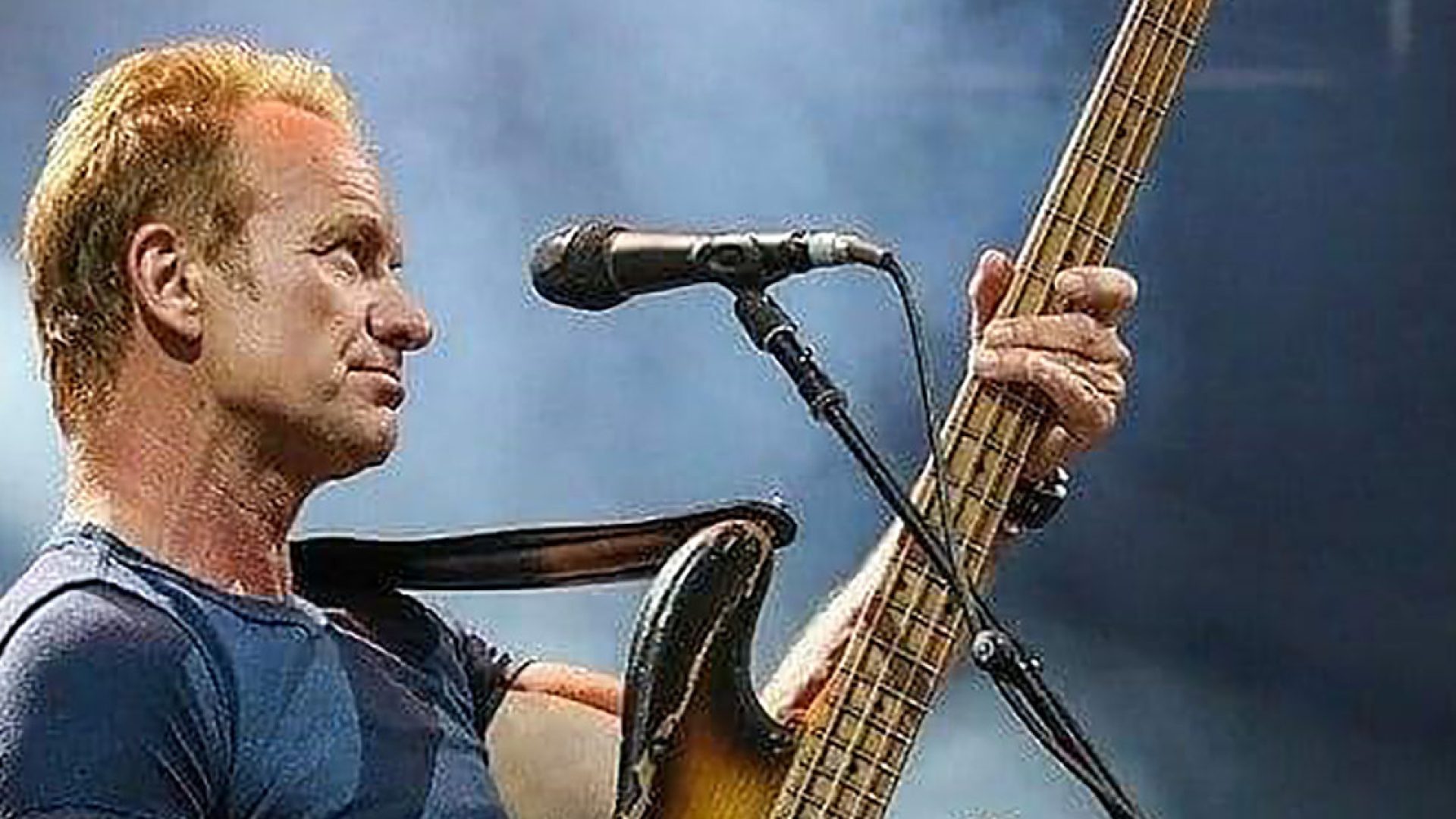 sting-1